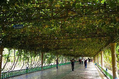 业内人士：2024年将是全球游戏行业“倒闭年”